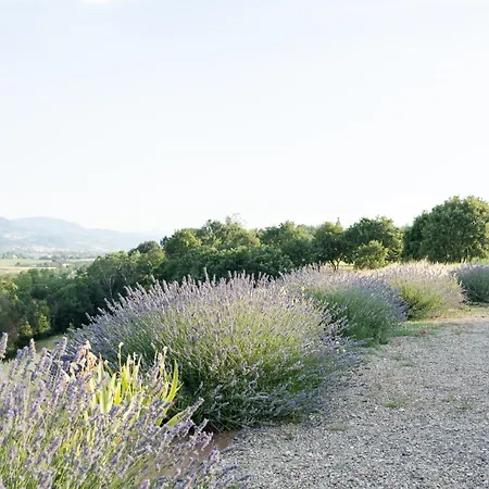 La Valle Del Re - Feriegård